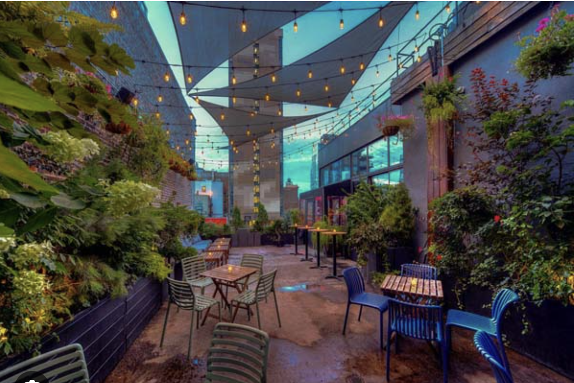 The Rooftop — the room