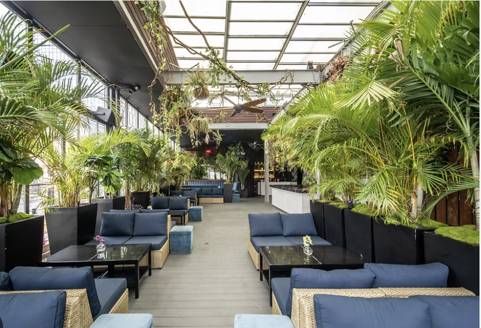 The Rooftop — the room